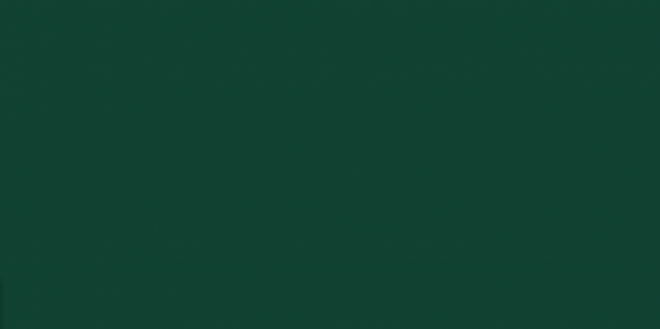 Silk matt color varnish RAL 6005 - moss green