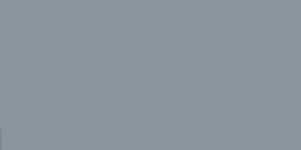 Silk matt color varnish RAL 7001 - silver gray