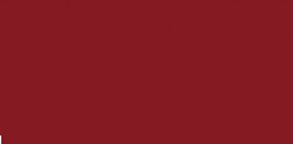 Silk matt color varnish RAL 3003 - ruby red